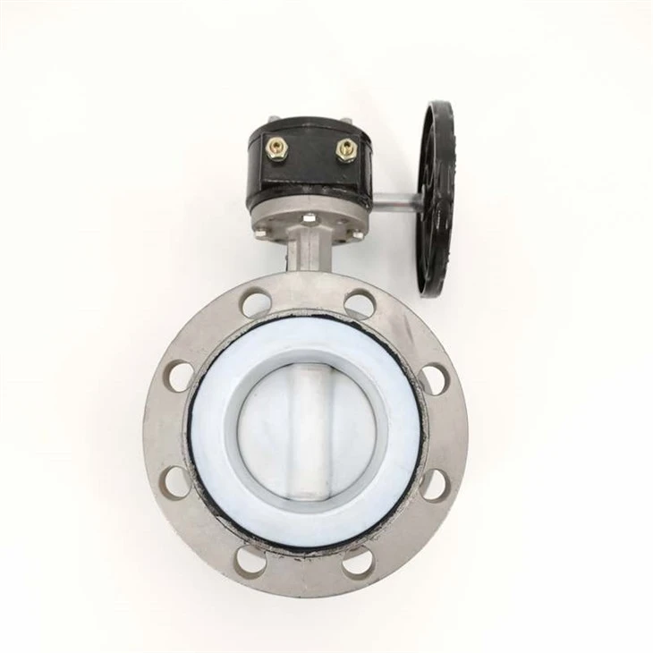 Flange Turbine Cruach dhosmálta Comhla Féileacán PTFE